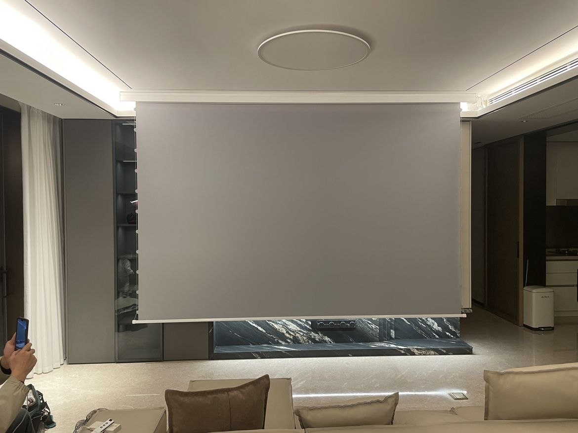 Luxury Living Room Theater